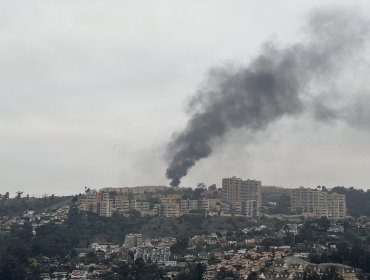 Ocupantes encienden barricadas para evitar desalojo de toma donde se construirá centro de salud en la parte alta de Viña del Mar