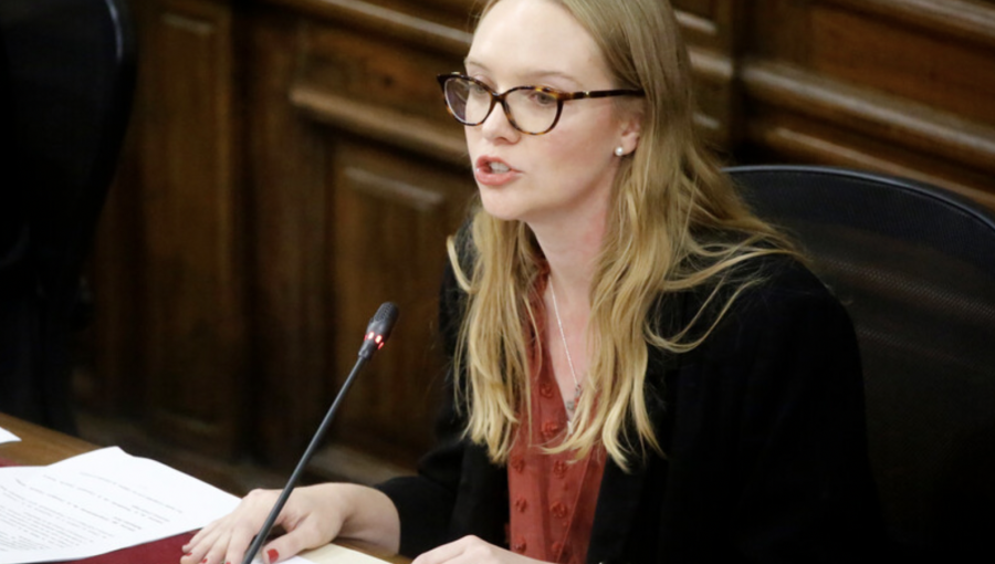 Beatriz Hevia por proceso constitucional: "Acá no se trata de que la mayoría pase máquina"