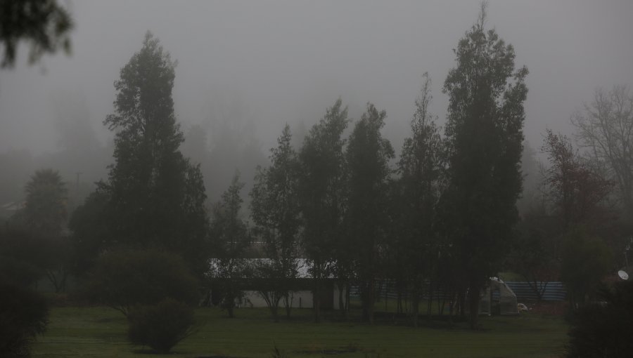 Temperaturas de hasta menos tres grados bajo cero se esperan entre las regiones de Valparaíso y Biobío