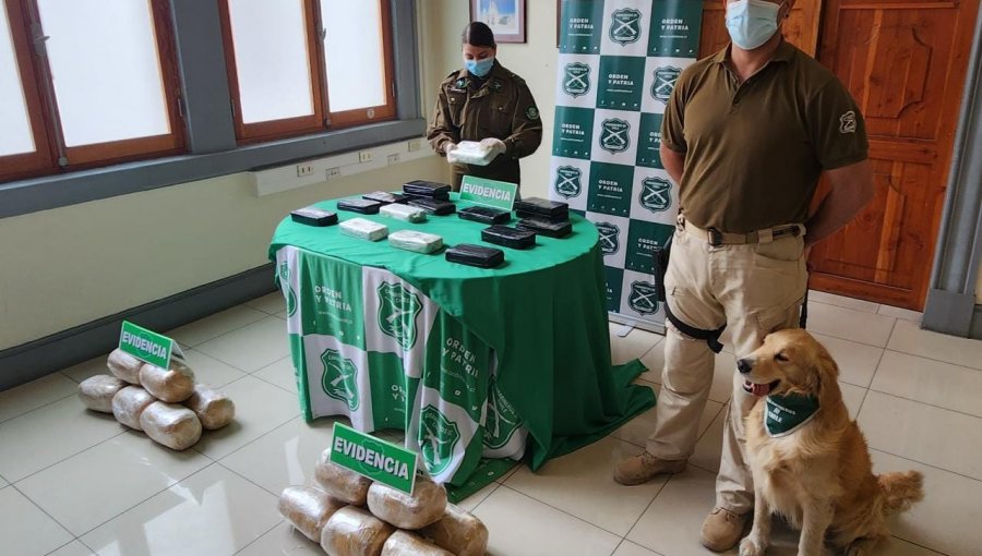 Operativos anti-drogas permitieron detener a 10 personas y sacar de circulación droga avaluada en $230 millones en Antofagasta