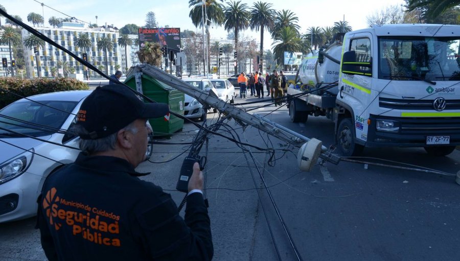 Anuncian acciones tras daños ocasionados por camión que derribó siete postes en Viña del Mar