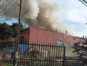 Incendio consume completamente dos viviendas en sector de Achupallas en Viña del Mar