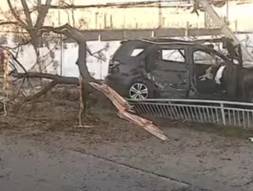 Conductor ebrio arrasa con árbol, poste y un paradero tras chocar a gran velocidad en Quinta Normal