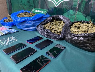 Incautan 5,7 kilos de marihuana elaborada en control carretero en Nogales: cinco sujetos fueron detenidos