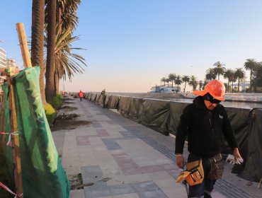 95% de avance registran obras de mejoramiento de la Av. La Marina de Viña del Mar: ya se habilitó el tránsito vehicular