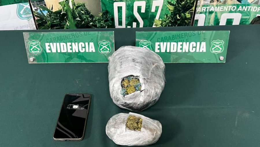 Olfato de «Gala del Emblema Verde» permitió incautar casi $7 millones en marihuana a bordo de un bus en Nogales