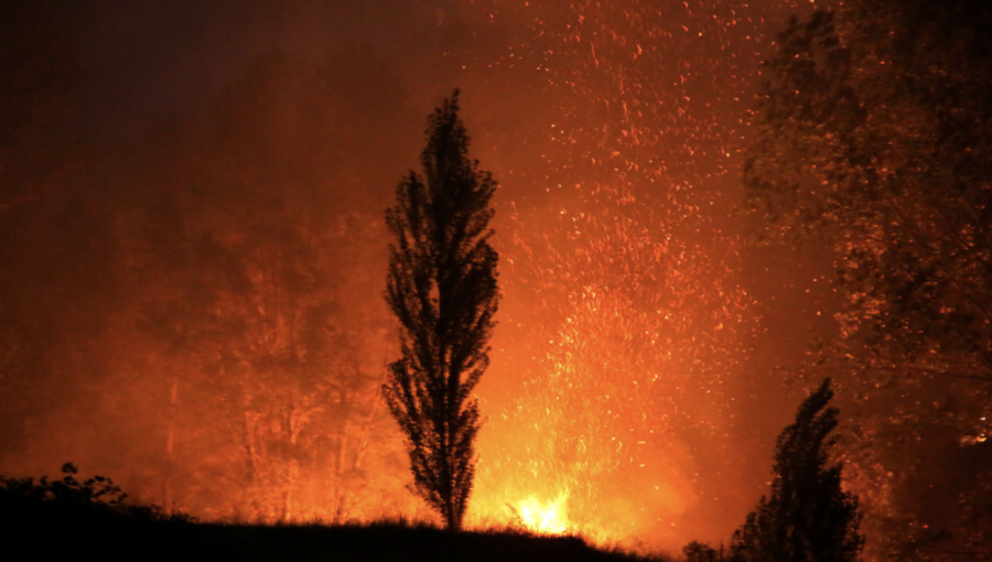 Nuevo ataque incendiario consume dos cabañas en Cañete