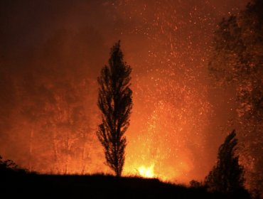 Nuevo ataque incendiario consume dos cabañas en Cañete