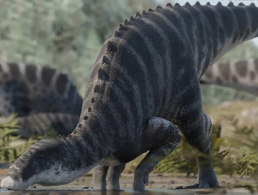 "Gonkoken nanoi": Descubren nuevo dinosaurio que vivió en la Patagonia hace 72 millones de años