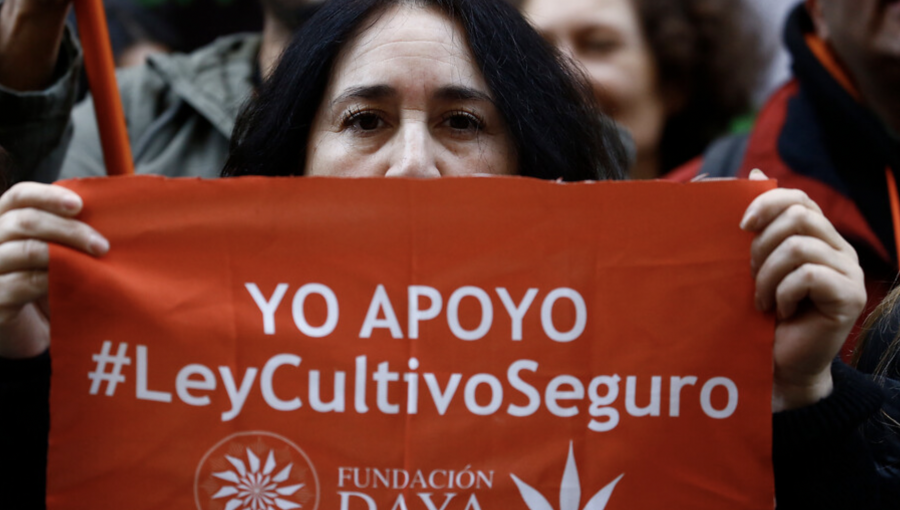 Corte Suprema absuelve a cannabicultor medicinal condenado a 5 años de cárcel en Coyhaique