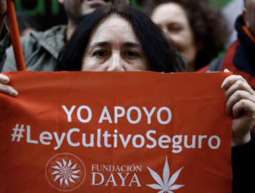 Corte Suprema absuelve a cannabicultor medicinal condenado a 5 años de cárcel en Coyhaique