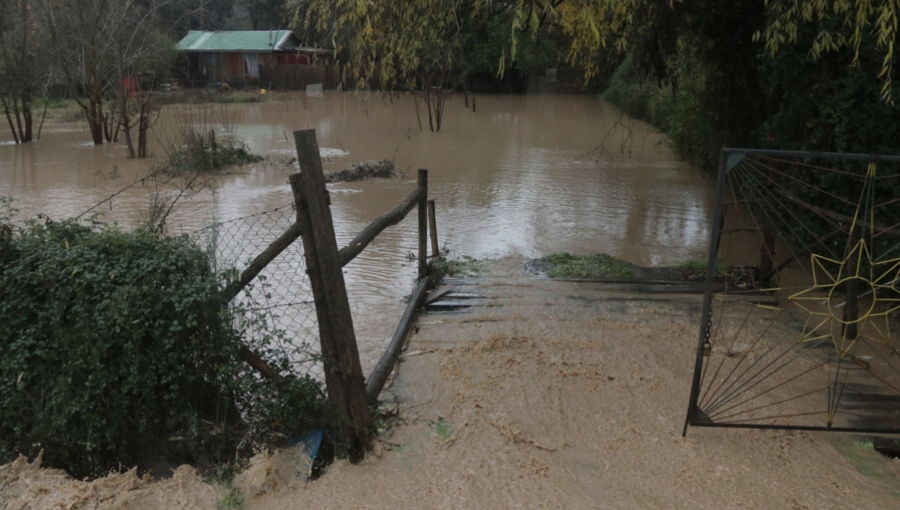 Desborde del río Mataquito provocó inundaciones en Licantén
