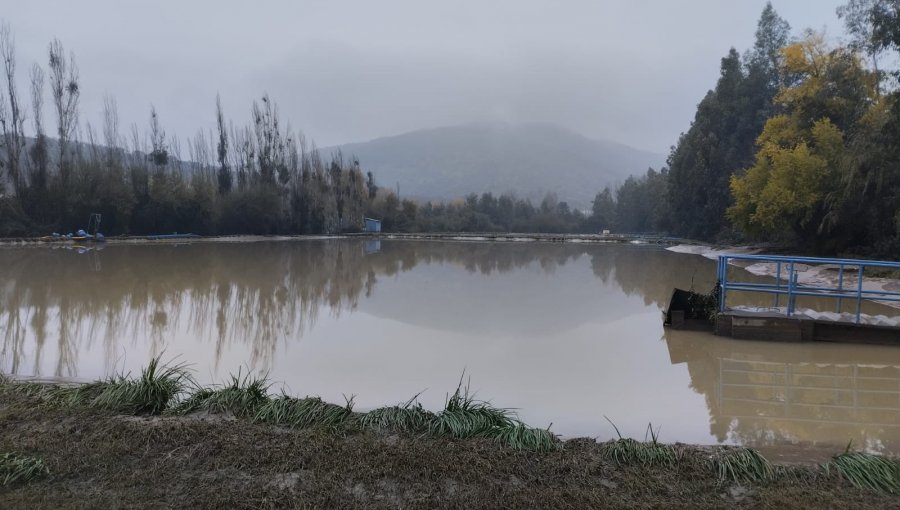 Preocupación en Doñihue por inundación de planta de tratamiento de aguas servidas de Essbio