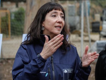 Subsecretaria a cargo de la reconstrucción de Viña del Mar fue removida del Gobierno por escándalo de Vivienda en Antofagasta
