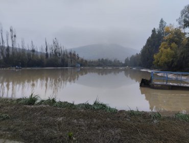 Preocupación en Doñihue por inundación de planta de tratamiento de aguas servidas de Essbio