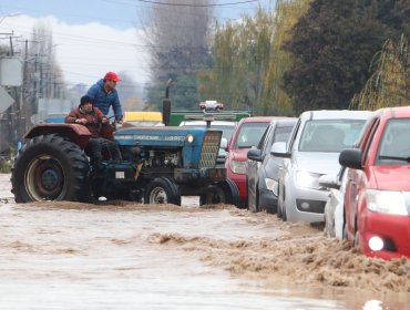 Evacuaron a 1.800 personas en Constitución por riesgo de desborde del río Maule