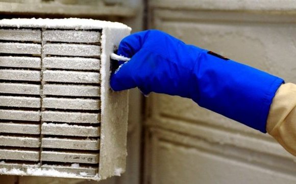 La investigación de 20 años que quedó arruinada por un empleado de limpieza que desconectó un refrigerador en EE.UU.