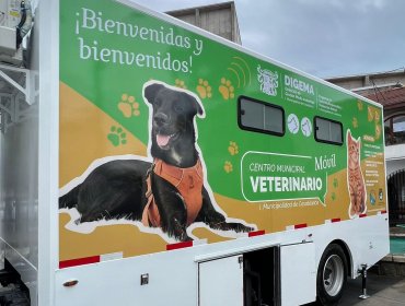 Casablanca cuenta con nuevo centro veterinario móvil: tendrá especial énfasis en animales de la zona rural