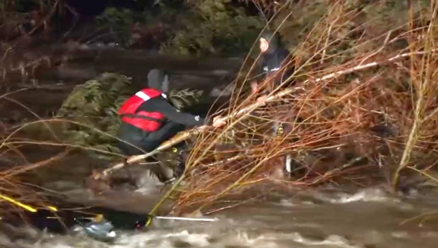Rescatistas quedaron atrapados tras intentar salvar a una yegua embarazada en el río Biobío