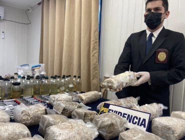 Incautan 68 kilos de hongos alucinógenos en San Carlos: Es el mayor decomiso de esta droga en el país