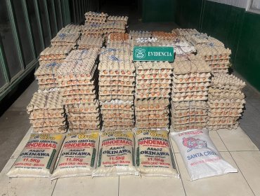 Incautan más de 42 mil huevos contrabandeados desde Bolivia en la localidad de Quillagua