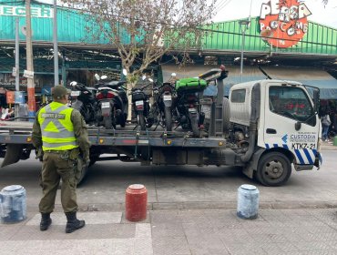 Carabineros realizó 3.200 controles y detuvo a 480 personas en el barrio Franklin de Santiago