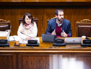 Autoridades de Economía y Minería presentaron al Senado la Estrategia Nacional de Litio