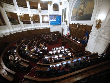 Unas 70 figuras políticas pidieron al Consejo Constitucional cambios al sistema electoral