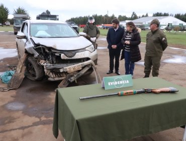 Detienen a sujeto que protagonizó balacera y persecuión tras robo frustrado en Ercilla: recuperan escopeta y una camioneta