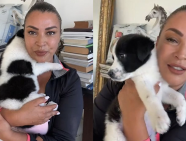 Marlen Olivari realizó desesperado llamado para encontrar a su perrita Juventus