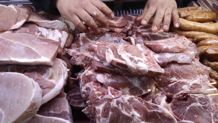 Cámara aprobó articulado de proyecto que excluye a los vegetales del concepto "carne"