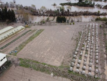 Inundaciones en la zona centro-sur por lluvias podrían generar pérdidas de hasta US$400 millones en la industria agrícola