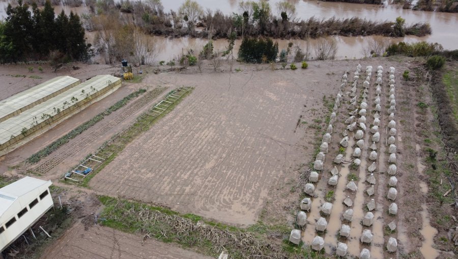 Inundaciones en la zona centro-sur por lluvias podrían generar pérdidas de hasta US$400 millones en la industria agrícola