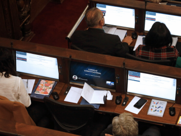 "Chile por los animales" y "Con mi plata no" lideraron iniciativas de norma popular para ser discutidas por el Consejo Constitucional