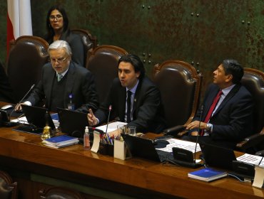 Cámara de Diputados aprobó la renuncia de la mesa directiva encabezada por Vlado Mirosevic