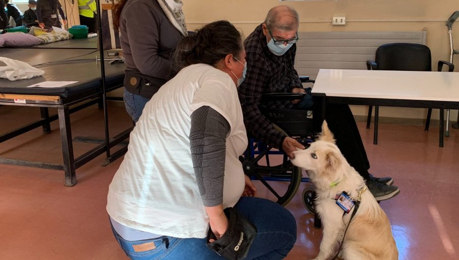 Hospital Geriátrico de Limache incorpora canoterapia para fortalecer el trato usuario y la salud mental