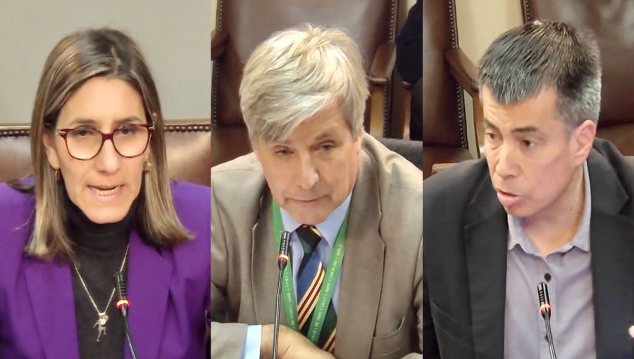 "Yo no soy simpático": El duro cruce entre Harold Mayne-Nicholls y los diputados Olivera y Celis en tensa Comisión de Deportes