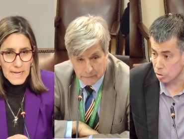 "Yo no soy simpático": El duro cruce entre Harold Mayne-Nicholls y los diputados Olivera y Celis en tensa Comisión de Deportes