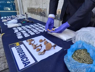 Detienen a ocho personas que comercializaban droga en Valparaíso: Incautan marihuana, hongos, cocaína y ketamina