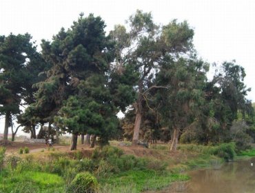 Bienes Nacionales oficia a Alcaldesa de San Antonio por escaso avance del Parque de Deportes y Recreación de la comuna