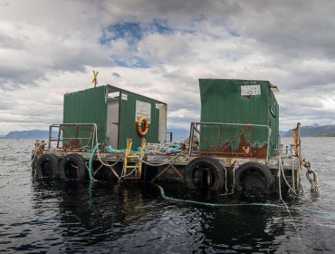 Greenpeace denuncia vertederos ilegales de salmoneras que flotan en la Patagonia