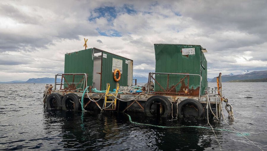 Greenpeace denuncia vertederos ilegales de salmoneras que flotan en la Patagonia