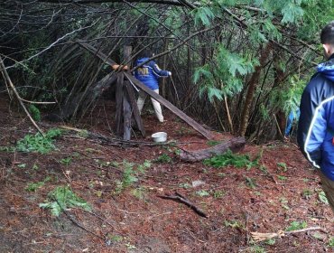 Encuentran restos de una persona que habría sido atacada por un puma en Puerto Varas