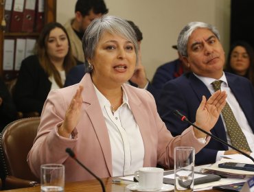 Ministra del Trabajo y reforma de pensiones: "Estamos conversando y hay que hacer el esfuerzo"