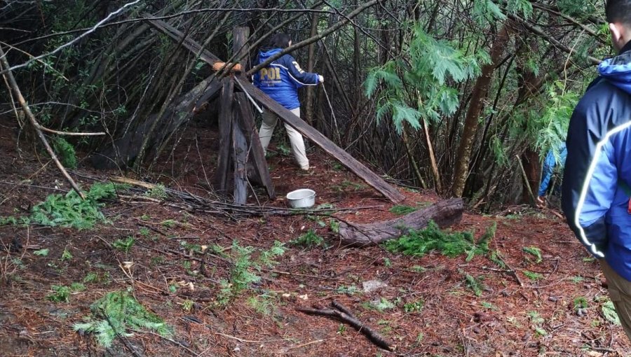 Encuentran restos de una persona que habría sido atacada por un puma en Puerto Varas