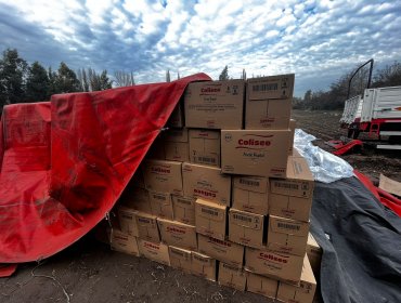 Detienen a sujetos que se hicieron pasar por funcionarios de la PDI y robaron camión con 2.158 cajas de aceite en Colina