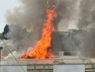 Dos viviendas resultaron afectadas por incendio en sector Santa Inés de Viña del Mar