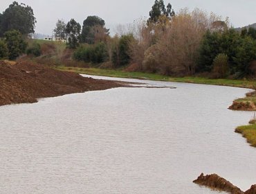 Declaran Alerta Roja para Concepción por amenaza de desborde del río Andalién