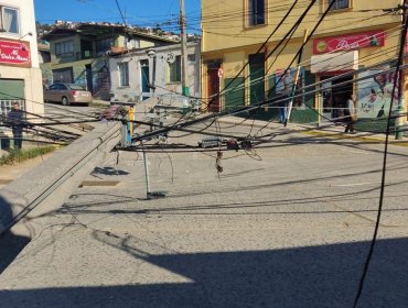 Municipio de Valparaíso se querella por postes caídos en Av. Alemania: interrupción del servicio afectó a 1.982 familias