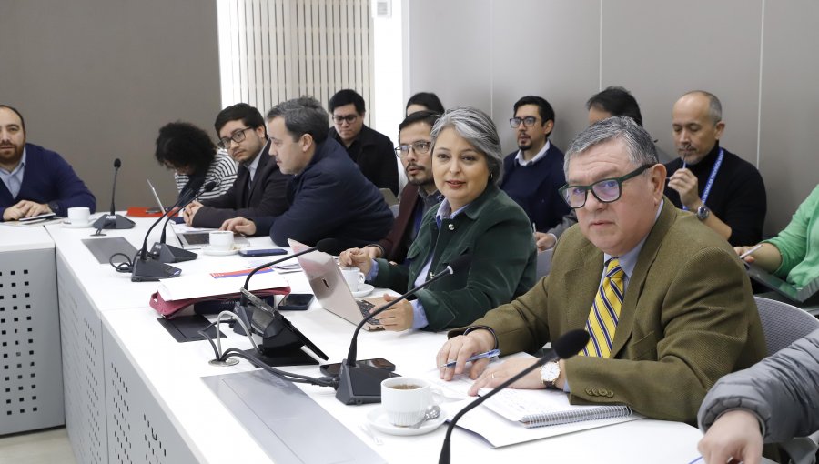 Ministra del Trabajo por decisión de la UDI de bajarse de la mesa técnica por pensiones: "En la política no todo vale"